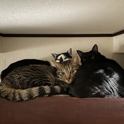 まつりさん、地震は怖いな…