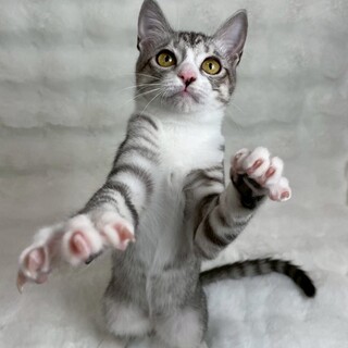 あかぎくん♂@約5ヶ月