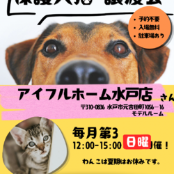 保護犬猫譲渡会 at アイフルホーム水戸店