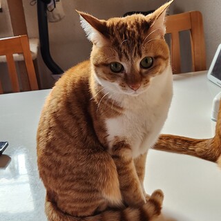 キュートな小梅ちゃん