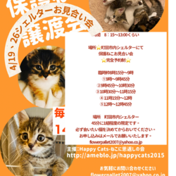 HappyCats〜猫に恩返しの会〜保護ねこたちのシェルターお見合い会