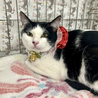 穏やかな性格♪のんのちゃん