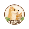 保護犬猫シェルター ミントハウス