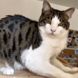 ビビリだけど好奇心あり！こてつくん！