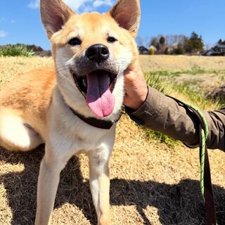 7ヶ月くらい優しい顔の穂高くん