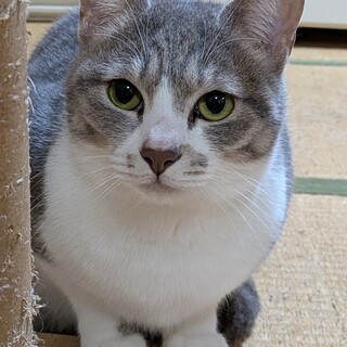 見てるだけで癒されるかわいい女の子