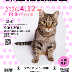 4月12日｛ラブとハッピー府中 保護猫譲渡会｝