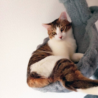 福岡から来た♂たいぞう7ヵ月※初参加