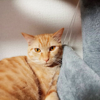 福岡から来た♂トラッキー９ヵ月※初参加