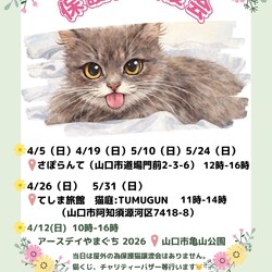 保護猫譲渡会in山口市さぽらんて