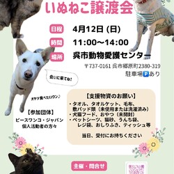 いぬねこ譲渡会