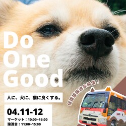 保護猫譲渡会@青山ファーマーズマーケット