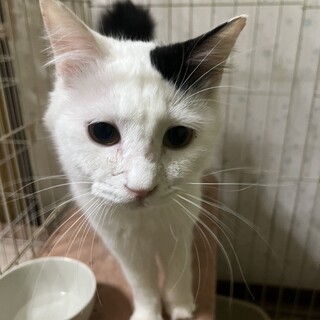 ゴロスリの超甘えん坊くんです