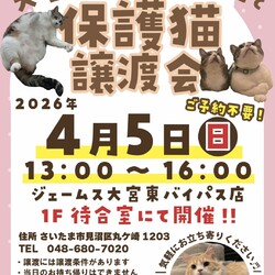秘密結社ねこのひげ♡保護猫譲渡会