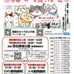 保護猫譲渡会@深北緑地
