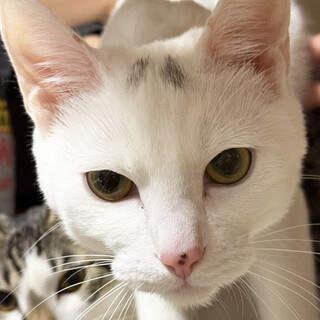 空・くう♂7ヶ月、兄弟アクティブ派