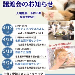 保護猫譲渡会　愛知県