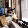 かわた_ さん