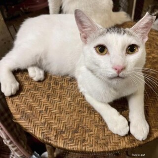 めちゃくちゃ人懐っこいムサシくん！