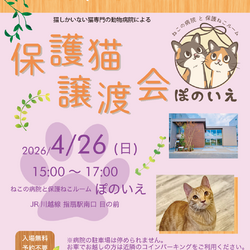 ねこの病院と保護ねこルーム　ぽのいえ保護猫譲渡会