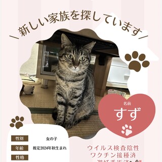 マイペースなすず