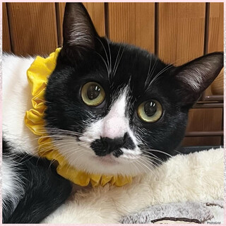 慣れたらスリゴロ避妊済なつめちゃん