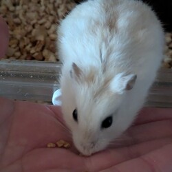 段々と慣れてきました