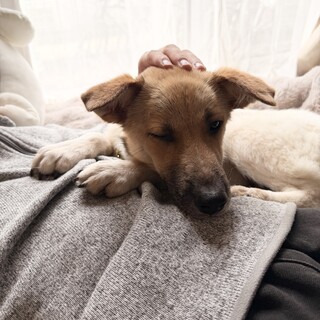 生後4-5ヶ月　　男のコ