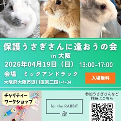 保護うさぎさんに逢おうの会in大阪