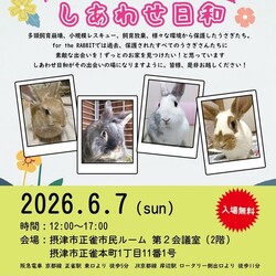 保護うさぎさんに逢おうの会～しあわせ日和~
