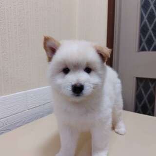 優介(旧サン)くん