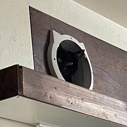 まるくん、初めての病気？