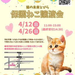 ★猫の未来とびら譲渡会★東銀座徒歩2分★東劇隣