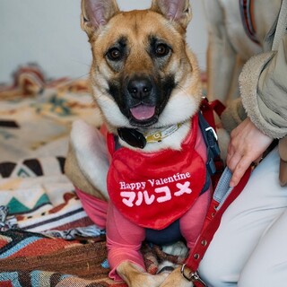 猫さんと仲良しな困り顔の男の子