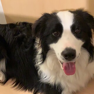 人が大好きな7歳の男の子です