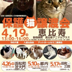 保護猫譲渡会＠恵比寿