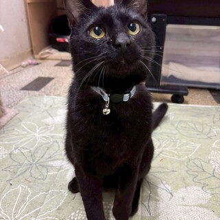 人慣ればっちり！タクくん