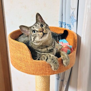 【4/12東銀座】渚くん★11ヵ月♪