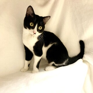 【4/12東銀座】こもちゃん★６ヵ月♪