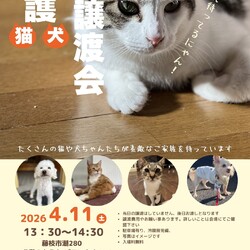 保護猫＆保護犬譲渡会