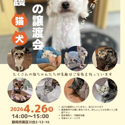 保護猫＆保護犬の譲渡会