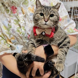 丸顔！超なれなれ『まりもちゃん』９カ月