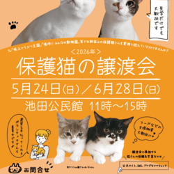 NECOAS 保護猫譲渡会 静岡市駿河区