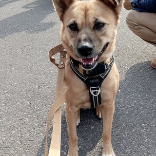 少しづつ心の扉を開いている《ももちゃん》