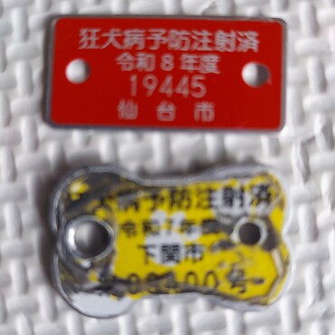 狂犬病予防接種完了♪　下関のは骨の形で可愛い( ´ー')１年間ありがとう♪仙台のはシンプル～　