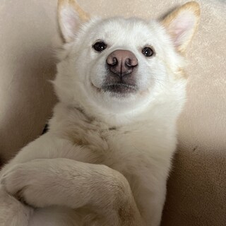 ビビりの男の子