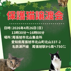 保護猫譲渡会