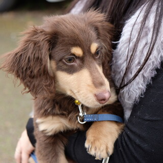 元気いっぱい、男の子です????