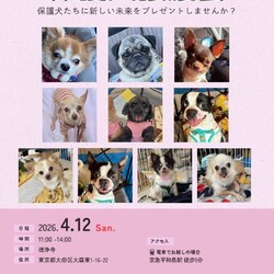 forわんDog譲渡会at徳浄寺