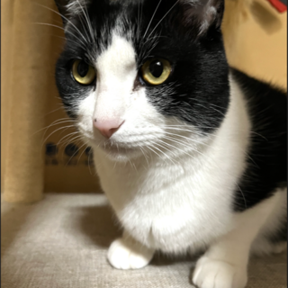 人が大好き♪いつでも側にいたいあきすみ君です！